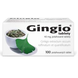 GINGIO 40MG potahované tablety 100